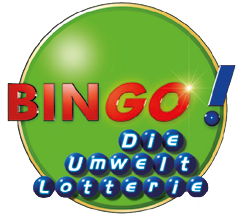 Logo Bingo!
