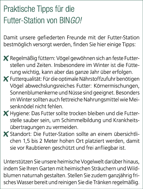 Praktische Tipps f r die Futter Station von BINGO! Damit unsere gefiederten Freunde mit der Futter Station bestm glic...