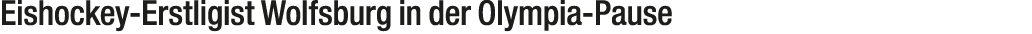Eishockey Erstligist Wolfsburg in der Olympia Pause