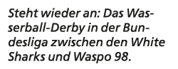 Steht wieder an: Das Wasserball Derby in der Bundesliga zwischen den White Sharks und Waspo 98.