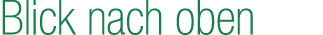 Blick nach oben