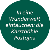 In eine Wunderwelt eintauchen: die Karsth hle Postojna