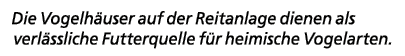 Die Vogelh user auf der Reitanlage dienen als verl ssliche Futterquelle f r heimische Vogelarten. 
