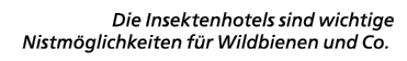 Die Insektenhotels sind wichtige Nistm glichkeiten f r Wildbienen und Co. 