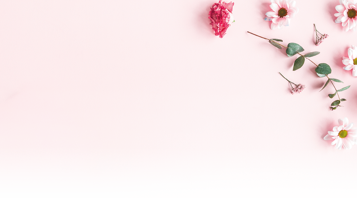 Flowers composition. Pink flowers and eucalyptus branches on pink background. Valentines day, mothers day, womens day concept. Flat lay, top view