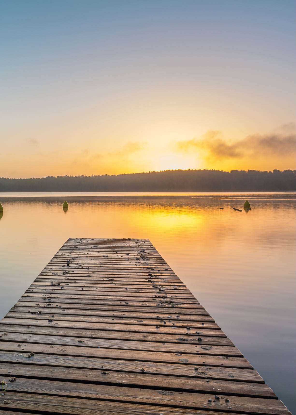 Ein ruhiger See bei Sonnenaufgang mit einem h lzernen Steg, der ins Wasser f hrt, und B umen am Ufer im Hintergrund. Beschreibung von KI generiert