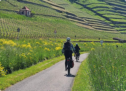 Zwei Fahrradfahrende von hinten auf einem schmalen Asphaltweg durch eine l ndliche Tal­landschaft. Der vordere Radfahrende tr gt Helm, Rucksack und dunkle Kleidung, am Hinterrad h ngt eine rote Packtasche; der zweite ist etwas weiter vorn. Rechts und links des Wegs hohe Gr ser und viele gelbe Blumen. Im Hintergrund terrassierte Weinberge oder H nge mit Rebst cken, dazwischen sichtbare, gestufte Erdaufsch ttungen; am linken Hang ein kleines, helles H uschen mit rotem Dach. Oberhalb der H nge bewaldete Flanken und sonnige, helle Bereiche. Stimmung: ruhige Fr hlings- oder Fr hsommerlandschaft, sonnig und gr n.