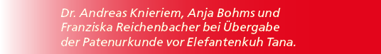 Dr. Andreas Knieriem, Anja Bohms und Franziska Reichenbacher bei bergabe der Patenurkunde vor Elefan­tenkuh Tana.